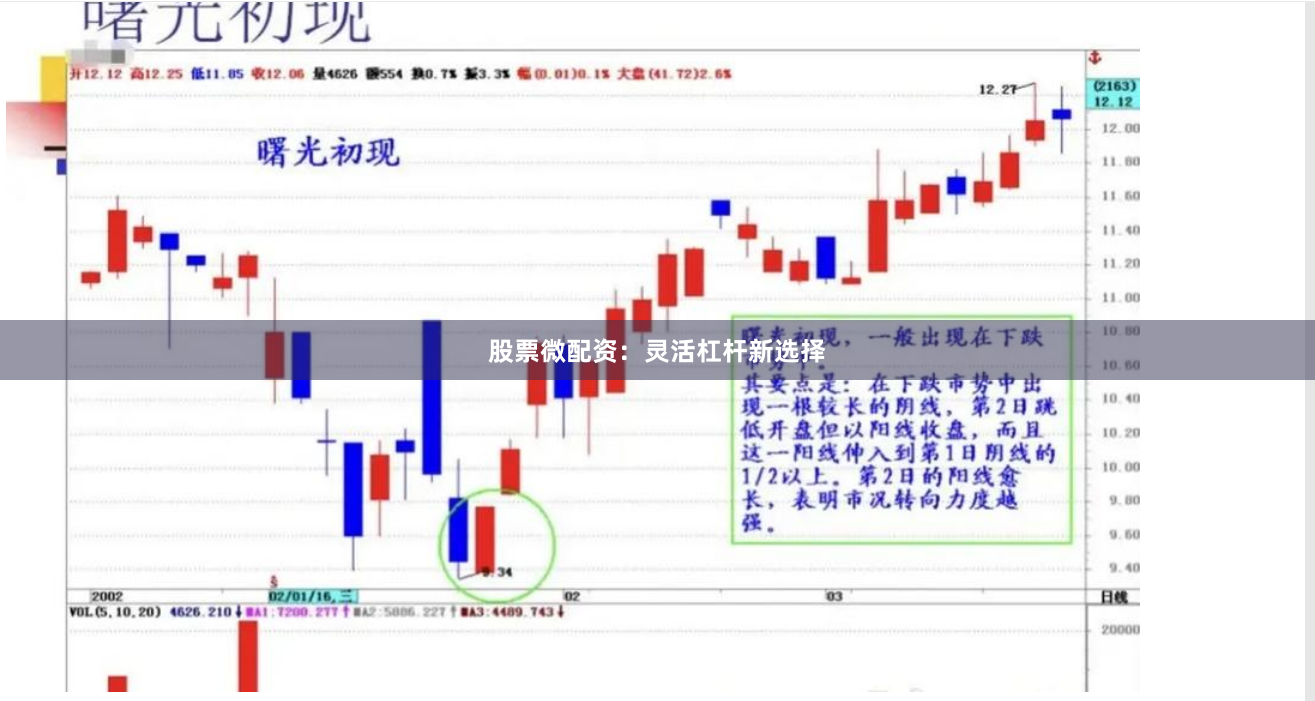 股票微配资：灵活杠杆新选择