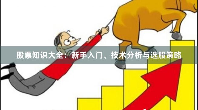 股票知识大全：新手入门、技术分析与选股策略